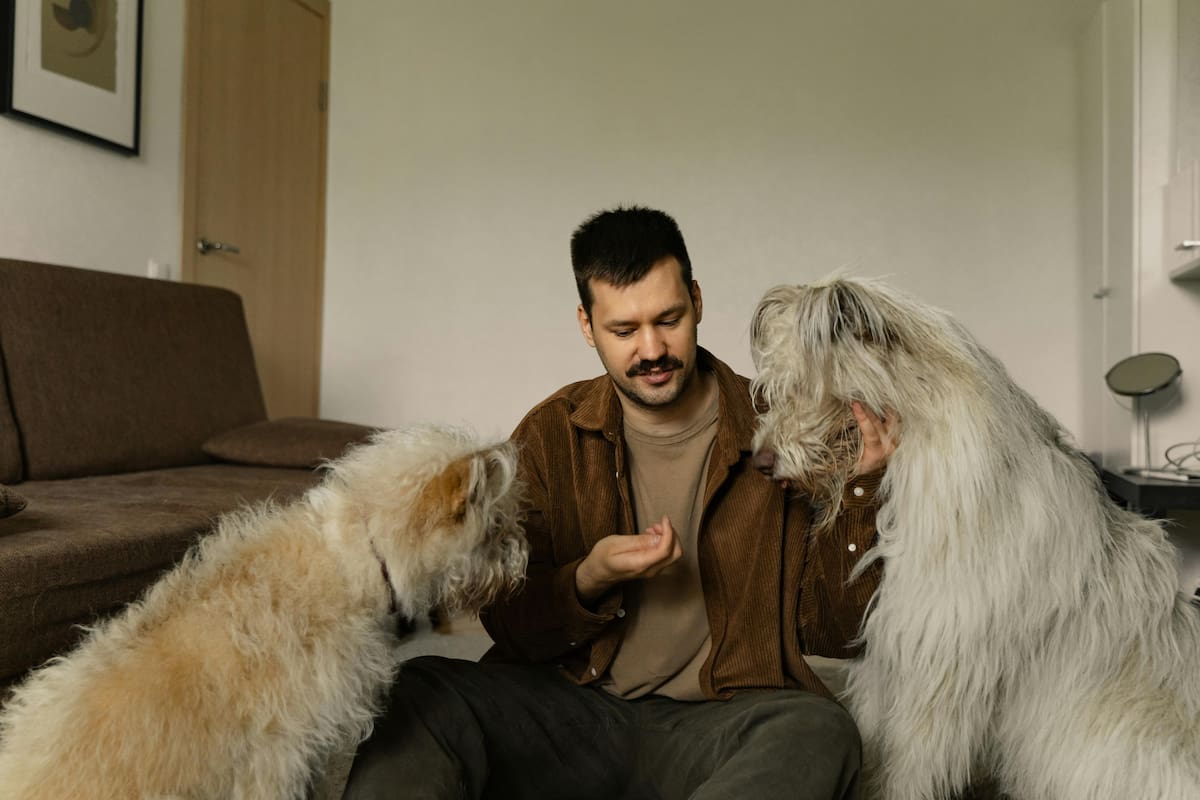 Por qué los psicólogos no recomiendan hablarles a las mascotas como humanos
