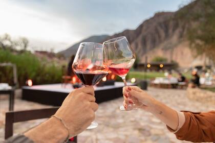 ¿Por qué se celebra hoy el Día del Malbec?