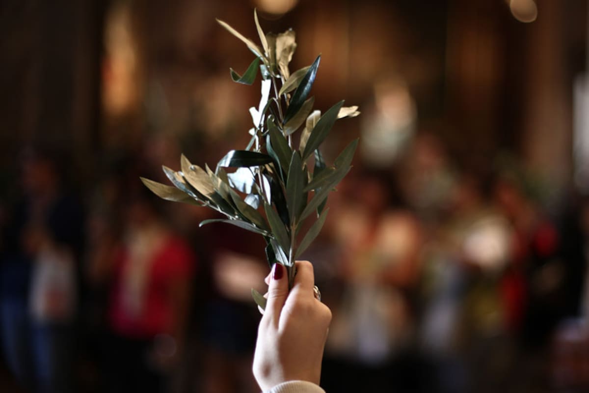 ¿Por qué se celebra hoy el Domingo de Ramos?