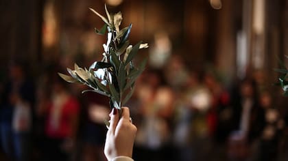 ¿Por qué se celebra hoy el Domingo de Ramos?