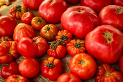 Por qué se deben comer tomates una vez por semana
