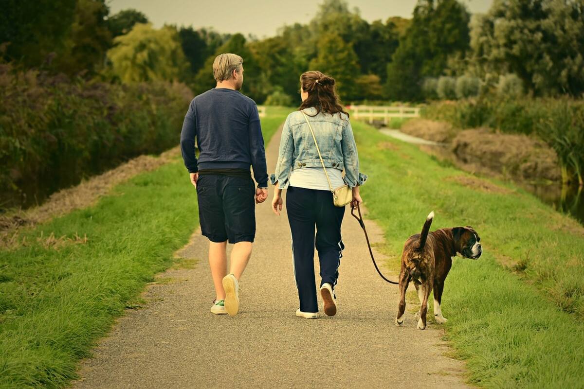 Por qué tener una mascota podría ser la clave de una relación más feliz