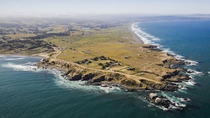 Por su ubicación, Punta de Lobos ofrece un gran biodivesidad