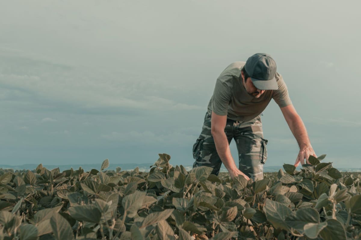 Por tercer año consecutivo, los pronósticos prevén una gruesa seca que obliga a adaptar planes de años anteriores para apuntar a la estabilidad