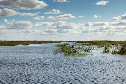 Por un canal se llega a la laguna Valle.
