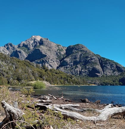 Por un sendero de 500 metros por el Parque Municipal Llao Llao se accede a Bahía de los Troncos