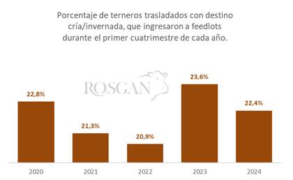 Porcentaje de terneros/as ingresados a establecimientos de engorde a corrales sobre el total trasladados registrados para esas categorías con motivo cría/invernada. Fuente de datos, DTe informados por Senasa