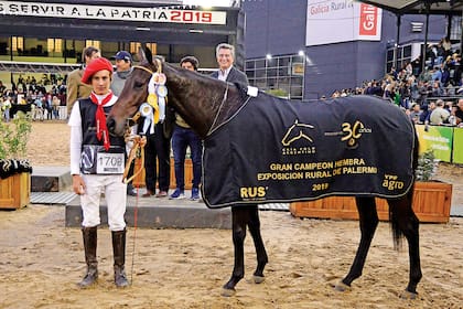 Con destreza y pasión, el hijo de Adolfo Cambiaso montó los mejores caballos de La Dolfina. Y se llevó todos los premios