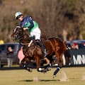 Con La Natividad-La Dolfina como candidato, empieza en Hurlingham la temporada grande del polo