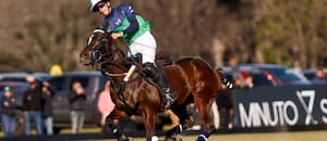 Con La Natividad-La Dolfina como candidato, empieza en Hurlingham la temporada grande del polo