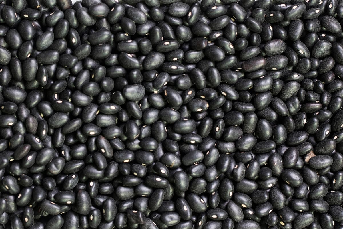 Porotos negros