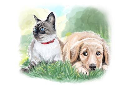 Porque ellos también merecen lo mejor: beneficios de Club LA NACION para cuidar, mimar y disfrutar a quienes nos acompañan todos los días.