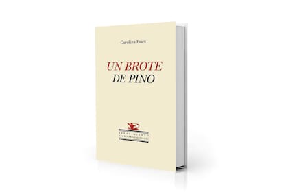 Portada de la edición española de "Un brote de pino", obra ganadora del Premio Tiflos de Poesía