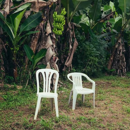 Portada del álbum Debí tirar más fotos de Bad Bunny (Instagram/@badbunnypr)