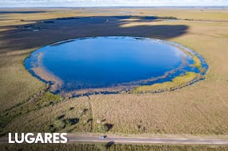 Otros accesos para descubrir Iberá, uno de los mejores lugares para ver fauna