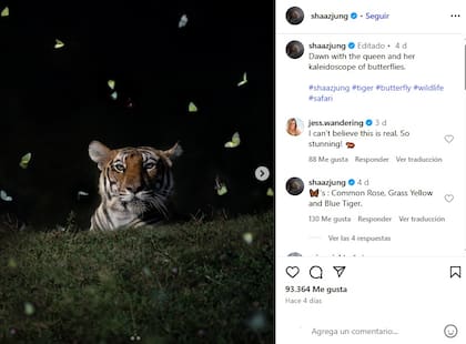 Posteo del fotógrafo en Instagram y la reacción de sus seguidores ante el hecho natural
