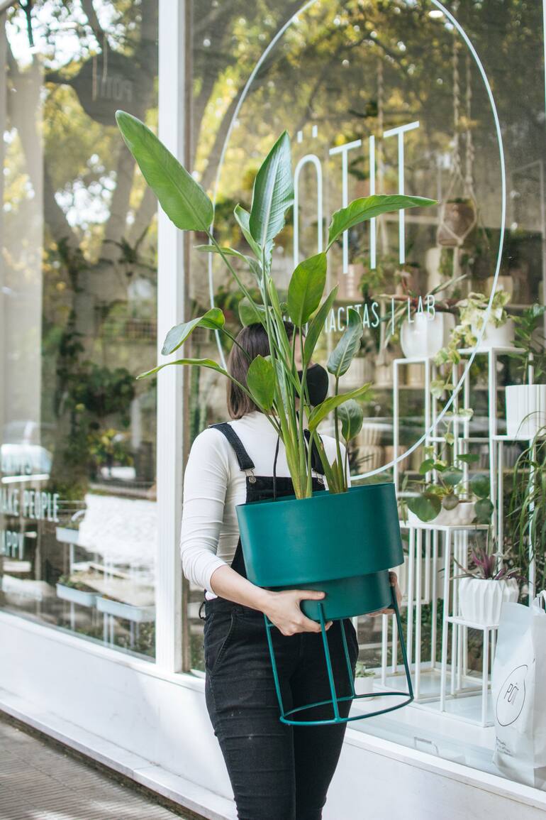 Pötit Lab, un local con lo más trendy en decoración con plantas.