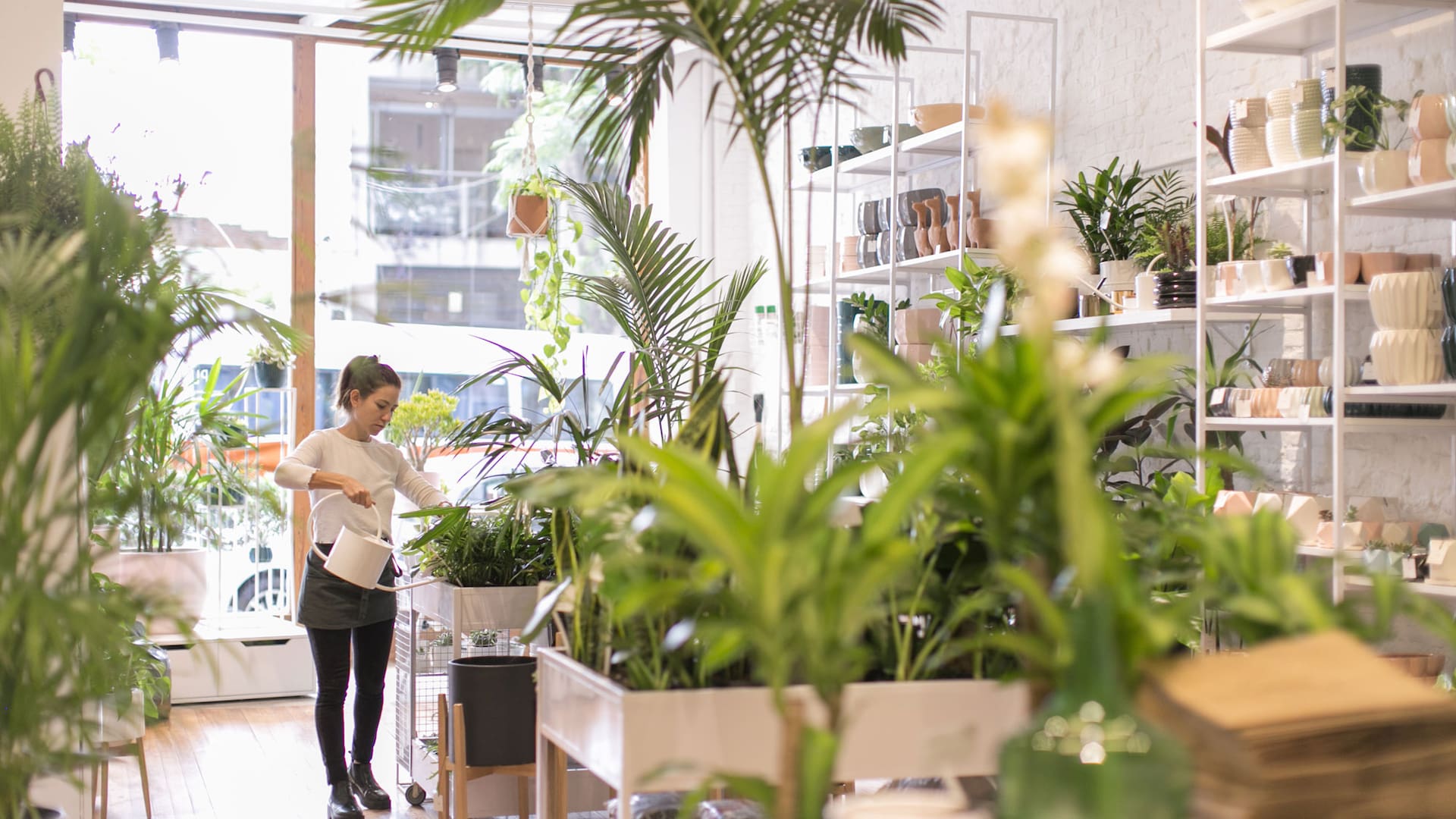 Pötit Lab, un local con lo más trendy en decoración con plantas.