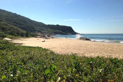 Praia da Pinho, Brasil