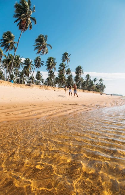Praia do Forte, la esencia de los pueblos de pescadores más la mejor hotelería. Mix perfecto a pocas horas de Buenos Aires
