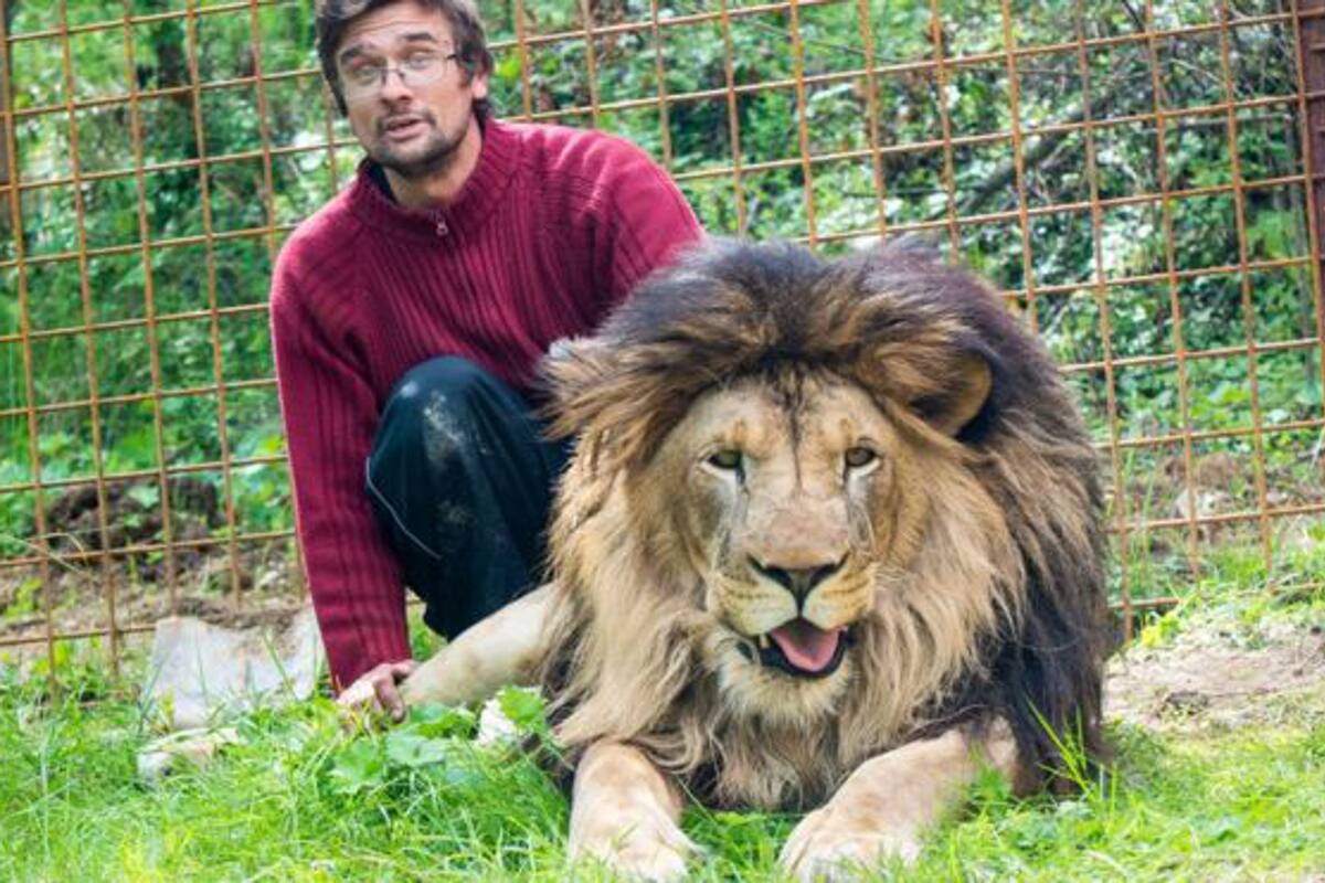 Prasek había comprado al león en 2016 y le construyó una jaula en su casa.