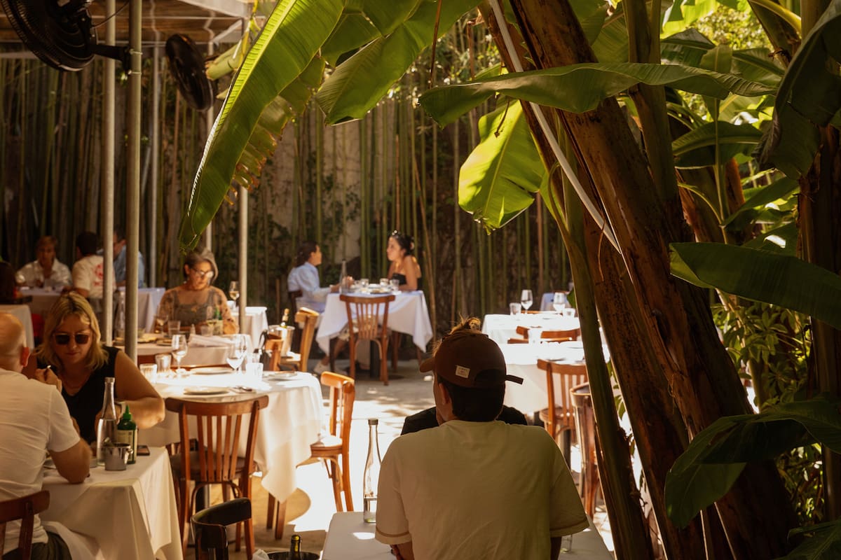 Precioso patio con enredaderas y cañaverales en Maravilla, Palermo