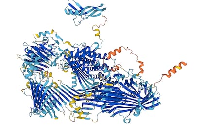 Predicción de AlphaFold de la estructura de la vitelogenina, una proteína esencial para todos los animales que ponen huevos