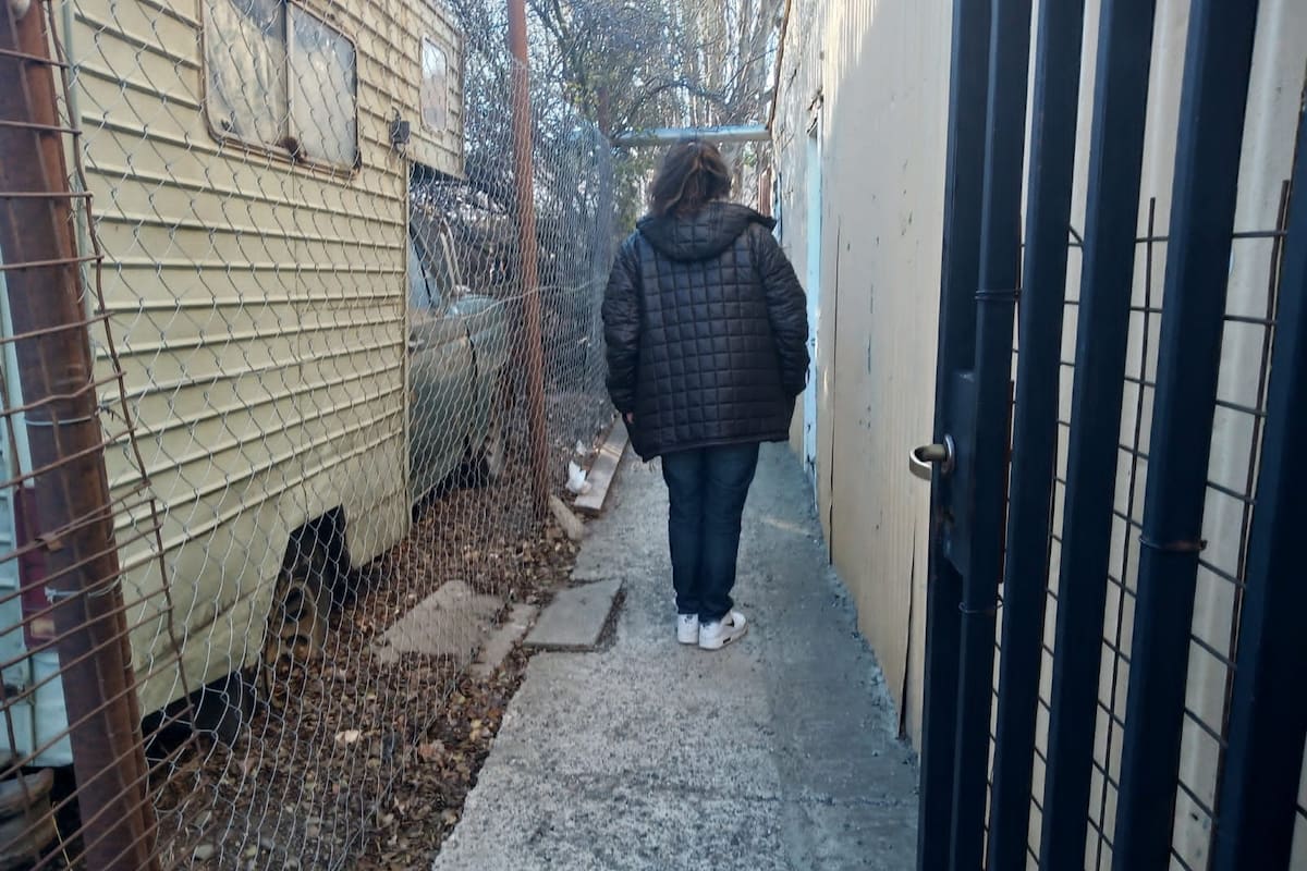Predio donde se denunció el supuesto hallazgo de dólares.