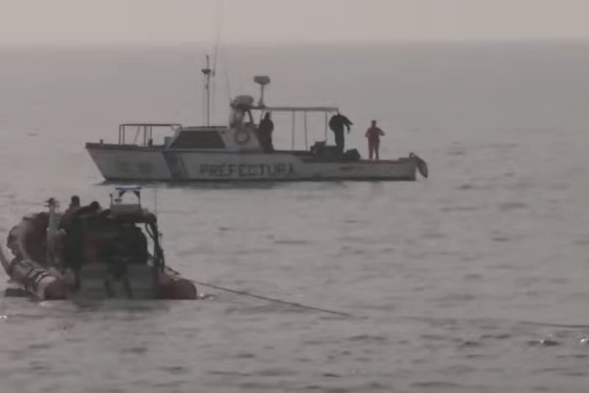 Prefectura Nacional retirando a la ballena encallada en la Costanera norte