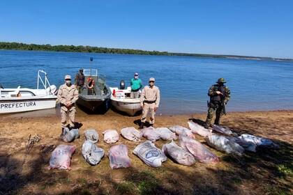Prefectura Naval descubrió a un guía de pesca que llevaba 700 kilos de carpinchos faenados en una lancha por el río Paraná, a la altura del departamento correntino de Ituzaingó