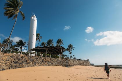 Praia do Forte. Más allá del pueblo, las extensas y concurridas playas albergan piscinas naturales y dos emprendimientos proteccionistas que permiten conocer la fauna en vivo.