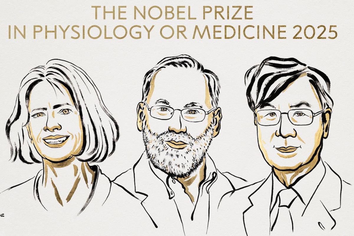 Premio Nobel de Medicina 2025