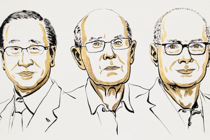 Premio Nobel de Química 2025