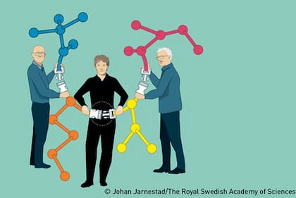 Premio Nobel a los desarrolladores de la "química del click"
