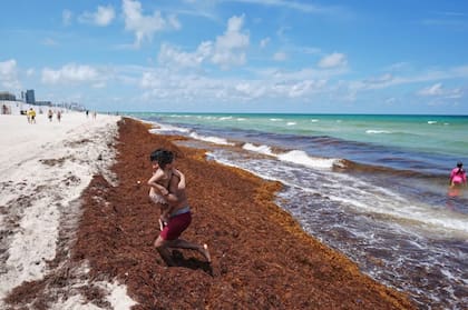 Preocupación por el calentamiento de los mares