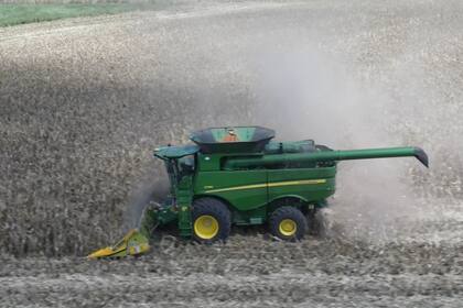 Preocupan los costos