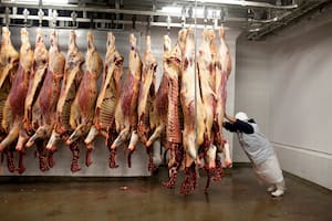 Preparando carne para procesar en Montevideo, Uruguay, el 27 de octubre de 2009