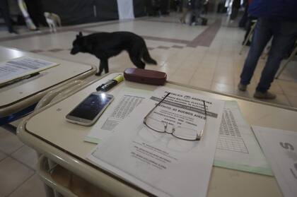 Preparativos en la escuela N°1 de Pinamar