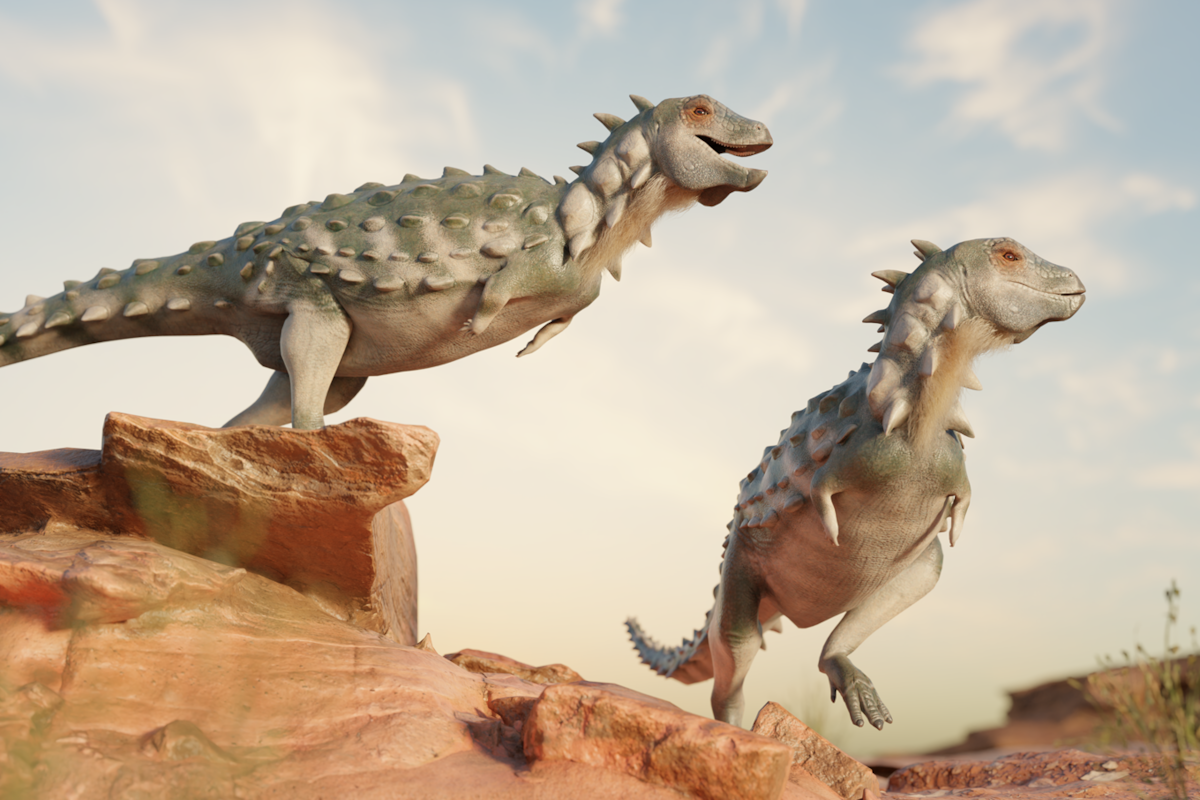 Presentación de un nuevo dinosaurio