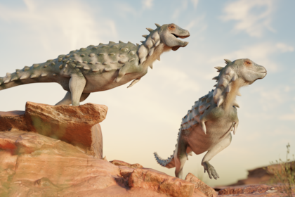 Presentación de un nuevo dinosaurio