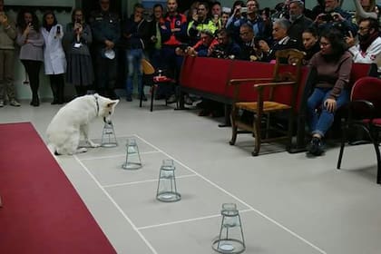 Presentación del nuevo método ante funcionarios judiciales y de seguridad en diciembre pasado