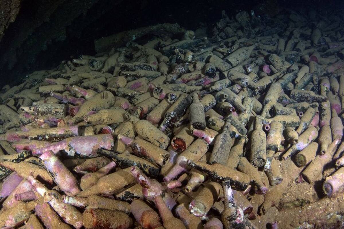 Preservadas en la bodega de este navío, había hileras de botellas de vidrio con cerveza, enterradas parcialmente en el lodo marino