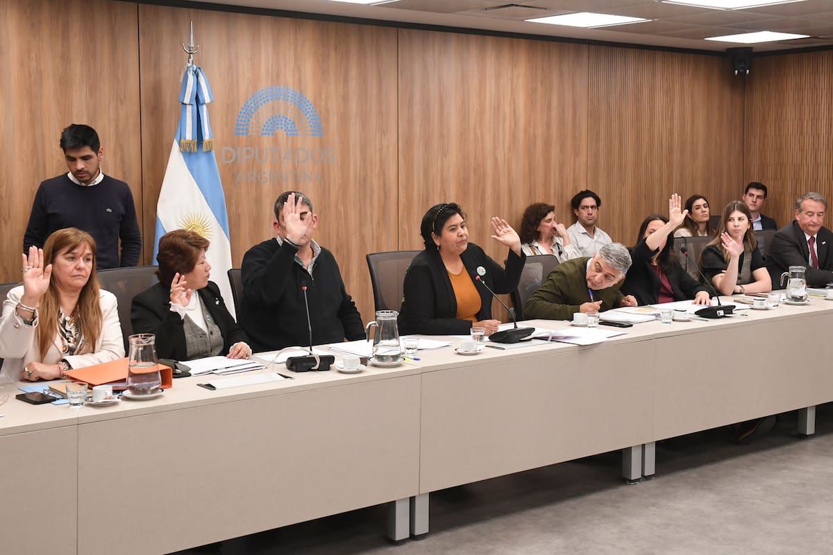 Presidida por Natalia Sarapura, la Comisión Bicameral votó la propuesta para cubrir la Defensoría de los Derechos de Niñas, Niños y Adolescentes