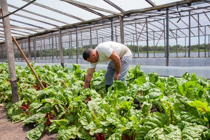 Presos de La Plata donaron 140 kilos de verduras a un comedor comunitario