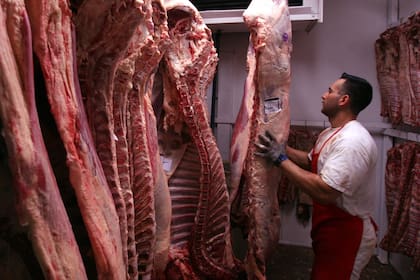La caída en la oferta de carne equivaldría a 4 kilos por habitante menos