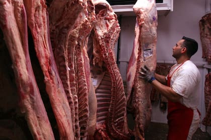 Prevén más producción de las diversas carnes y exportaciones