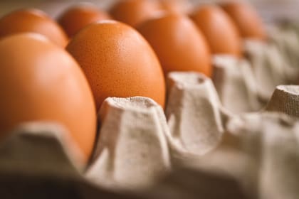 Prida destacó que en el país, la industria del huevo es uno de los sectores más dinámicos de la agroindustria, con presencia en 18 provincias. En 2024 se alcanzaron los casi 59 millones de gallinas, una cifra récord