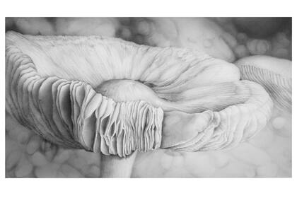 Patricia Gayone ganó el primer premio en dibujo con esta delicada obra