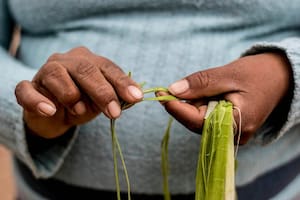 El amor entre ovillos y colores