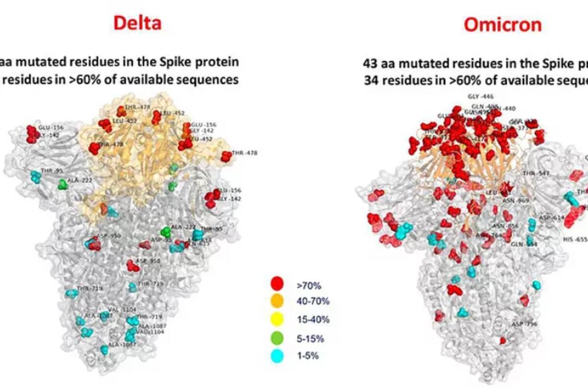 Primera "imagen" de ómicron muestra muchas más mutaciones que en variante delta